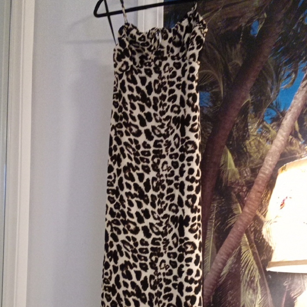 Leopard Print Maxi Dress - Picture 2 of 5